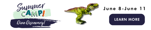 Color Me Kids Camp - DINO DISCOVERY!